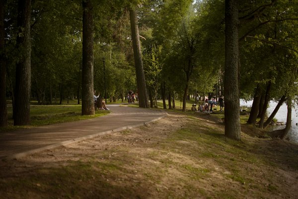 Audioprothésiste à montreuil : vos solutions auditives sur mesure