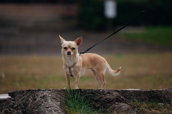 A la découverte des solutions auditives à saint-brevin-les-pins