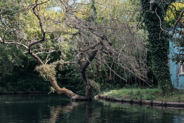 Audioprothésiste à Gujan-Mestras : offrez-vous une meilleure écoute