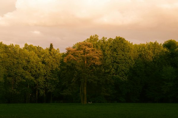 Audioprothésiste à Castelnau-le-Lez : améliorez votre écoute