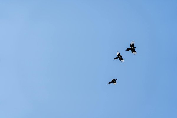 Audioprothésiste à lavelanet : Écoutez la vie pleinement