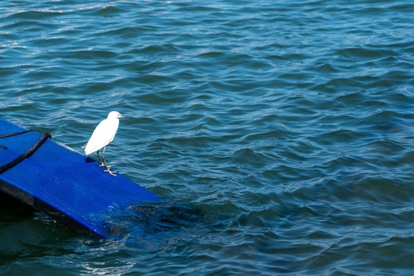 Audioprothésiste à poitiers : votre audition entre de bonnes mains