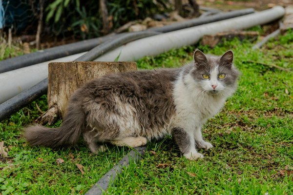 Audioprothésiste à villeneuve-le-roi : vos solutions auditives