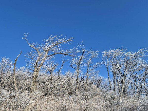 Améliorez votre audition avec un audioprothésiste au haillan